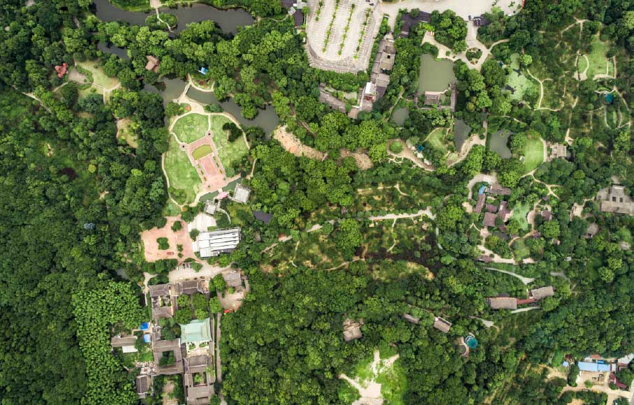Albert_park_aerial
